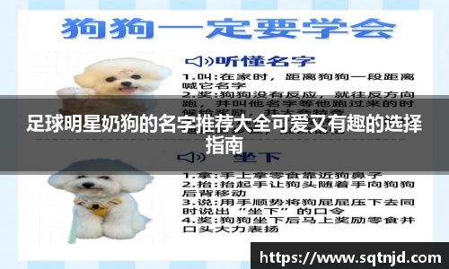 足球明星奶狗的名字推荐大全可爱又有趣的选择指南